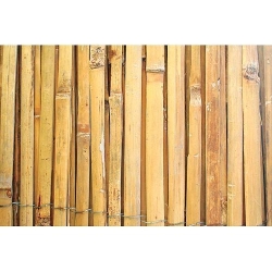 Rohož stínící bambus štípaný 1x5m  STREND