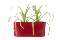 Samozavlažovací květináč G21 Combi mini červený 40 cm